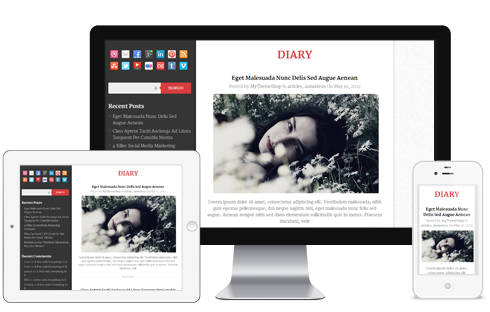 Diary-WordPress-theme